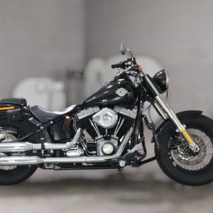 VERWACHT: 2013 FLS SOFTAIL SLIM 1580cc 5HD